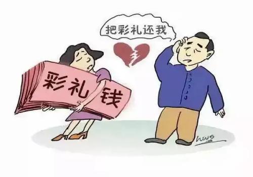 专家辅助人的意见属于哪种证据种类
